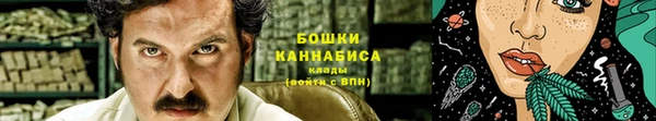 прущие крисы Мегион