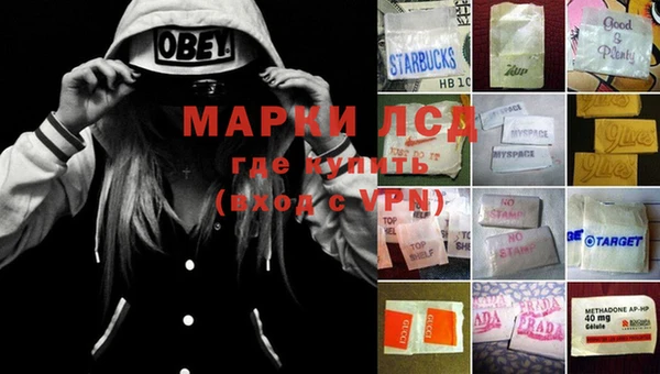 крисы Медвежьегорск