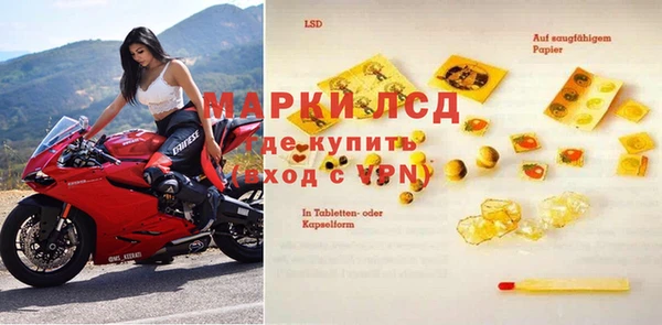 крисы Медвежьегорск
