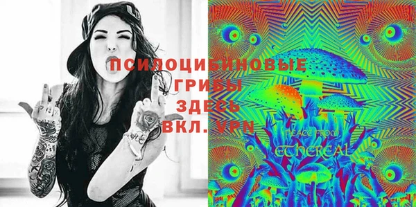 спиды Медногорск