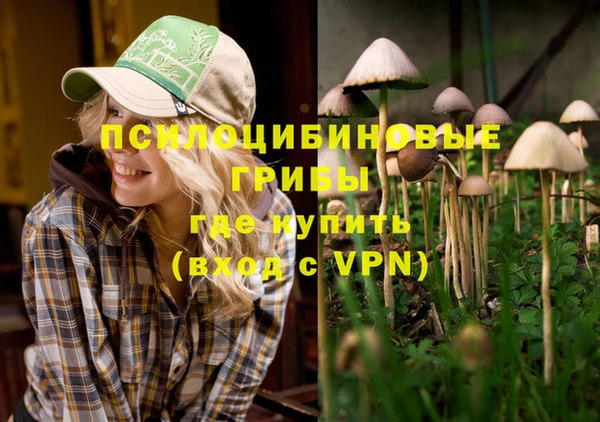 крисы Медвежьегорск