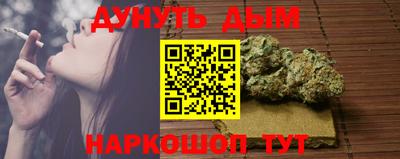индика Пенза
