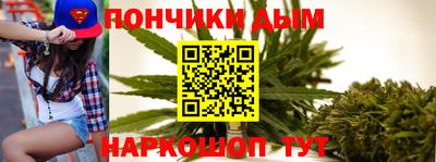 индика Пенза