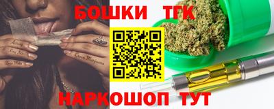 индика Пенза