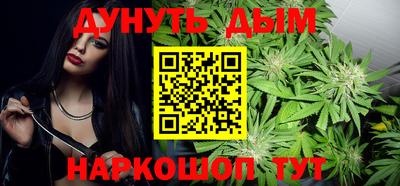 индика Пенза