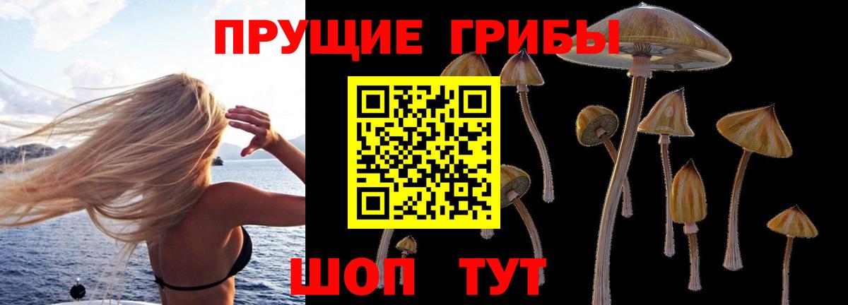 Псилоцибиновые грибы MAGIC MUSHROOMS  Вход с VPN  Галлюциногенные грибы Psilocybe  Серпухов 